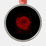 Black and Red Rose. Ornaments