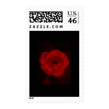 Black and Red Rose. Postage
