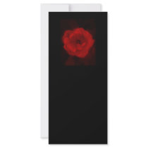 Black and Red Rose. Rack Card