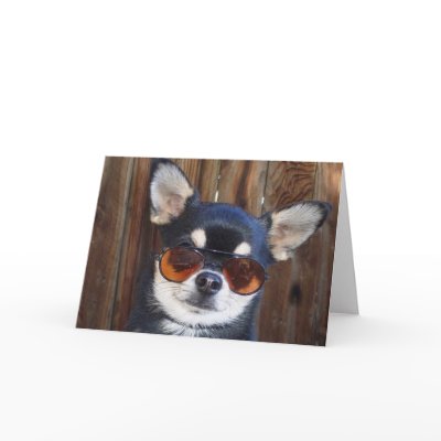 Black and tan Chihuahua greeting card by MartinisMommy
