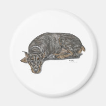 Black and Tan Doberman Dog Lying Low Fridge Magnets