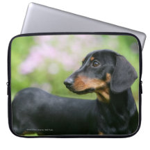 Black and Tan Miniture Dachshund 2 Computer Sleeve