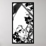black and white 001 posters