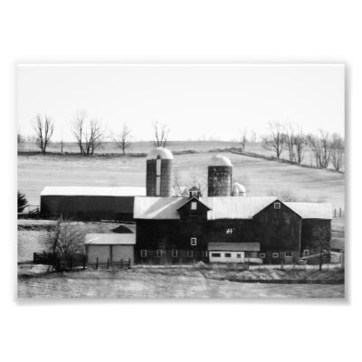 Black and White 7x5 Barn Photographic Print by TCPhotos