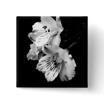 Black and White Alstroemeria Lily Button