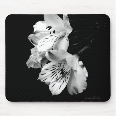 Black and White Alstroemeria Lily Mousepad by indolilly