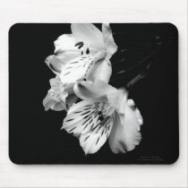 Black and White Alstroemeria Lily Mousepad by indolilly Black and White Alstroemeria Lily Mousepad
