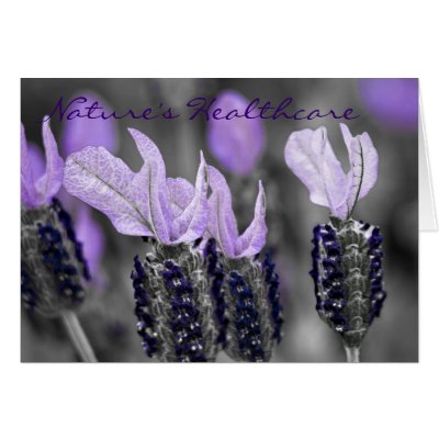 Black and White and Lavender Greeting Cards by IDoOils