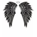 Black and White Angel Wings Tee Shirt by JLaVette Black and White Angel Wings Tee Shirt