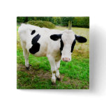 Black and White Apostrophe S Cow Pinback Buttons