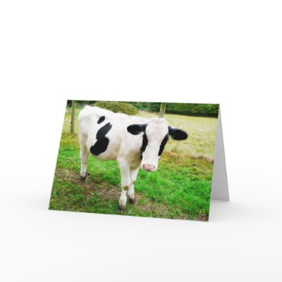 Black and White Apostrophe S Cow Cards by CountryCorner