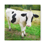 Black and White Apostrophe S Cow Fridge Magnets