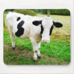Black and White Apostrophe S Cow Mousepads