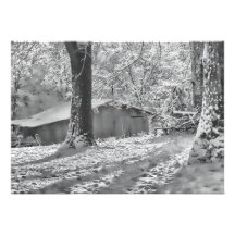 Black and White Backlit Rural Snow Scene Custom Invites
