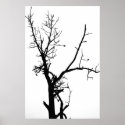 Black and White Bare Tree posters