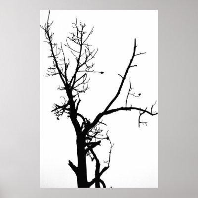 Black and White Bare Tree Poster by GingerBarritt