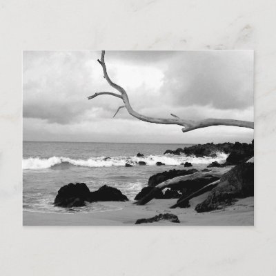 black and white beach photos. Black and White Beach Post
