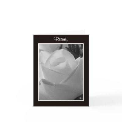 Black and White Beauty "Rose Note Cards" by KathyHenis