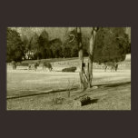 Black And White Bison And Friends Print