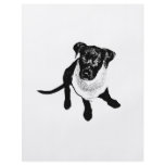 Black and White Black Lab Puppy image Personalized Flyer