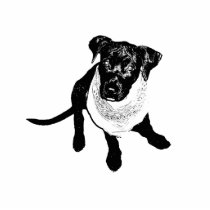 Black and White Black Lab Puppy image Acrylic Cut Out