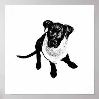 Black and White Black Lab Puppy image Poster