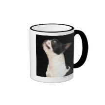 Black and white Boston Terrier looking up Coffee Mugs