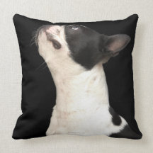 Black and white Boston Terrier looking up Throw Pillows