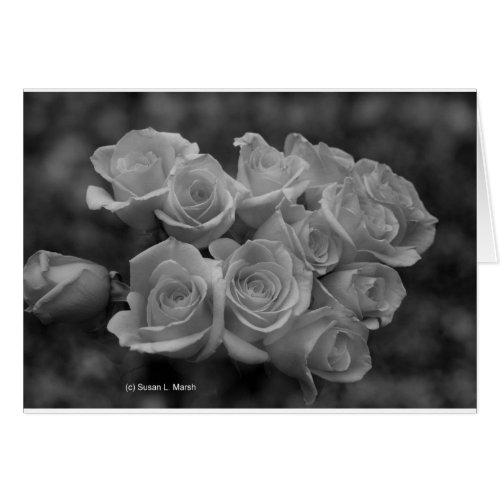 Black and white bunch of roses card