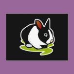 black and white bunny rabbit