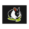 black and white bunny rabbit postcards