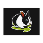 black and white bunny rabbit post card