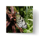Black and White Butterfly Pinback Buttons