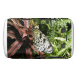 Black and White Butterfly Blackberry Case