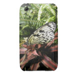 Black and White Butterfly Iphone 3 Covers