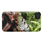 Black and White Butterfly Iphone 4 Id Case