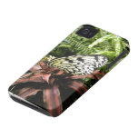 Black and White Butterfly Iphone 4 Case