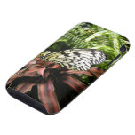Black and White Butterfly Iphone 3 Tough Cases