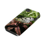 Black and White Butterfly Iphone 4 Tough Cases