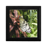 Black and White Butterfly Keepsake Boxes