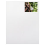Black and White Butterfly Letterhead Template