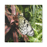 Black and White Butterfly Fridge Magnet