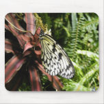 Black and White Butterfly Mouse Pads