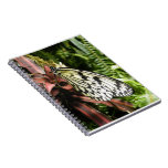 Black and White Butterfly Notebook