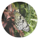 Black and White Butterfly Party Plate