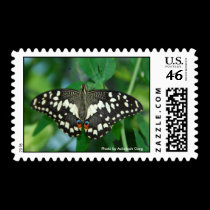 Black and white Butterfly Postage postage by Rajee1 Black and white Butterfly Postage postage