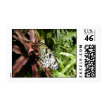 Black and White Butterfly Postage