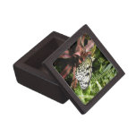 Black and White Butterfly Premium Keepsake Box