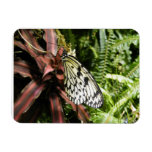 Black and White Butterfly Magnet