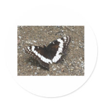 black and white butterfly stickers by pinkypetals black and white butterfly stickers